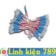 LED dây 5mm 100 bóng xanh dương